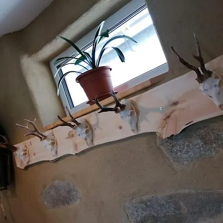 Goanbau Schoeneben *